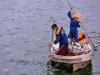 Hà Nội: Đánh tỉa bớt cá, xử lý tảo nổi để hạn chế cá chết ở hồ Tây
