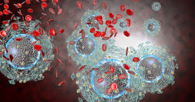 Điểm danh 6 loại virus gây ung thư