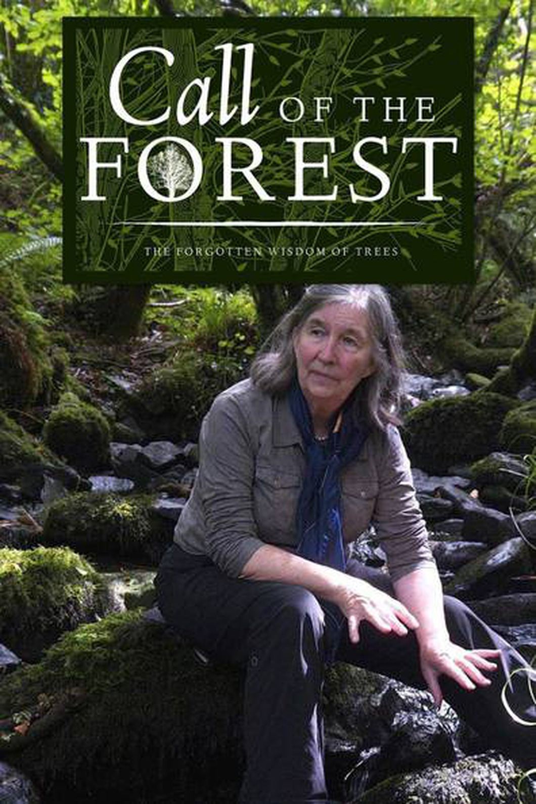 'Call of the Forest': Tiếng kêu cứu của rừng xanh